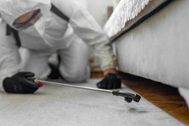 Professional Pest Control technician working in Spring Grove, IL