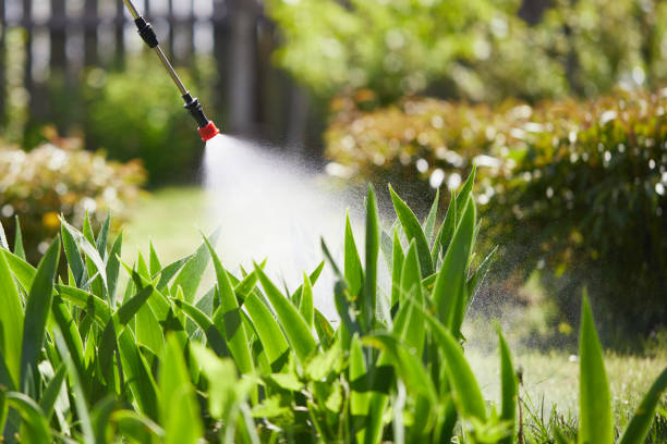 24/7 Emergency Cockroach Control experts in Spring Grove, IL