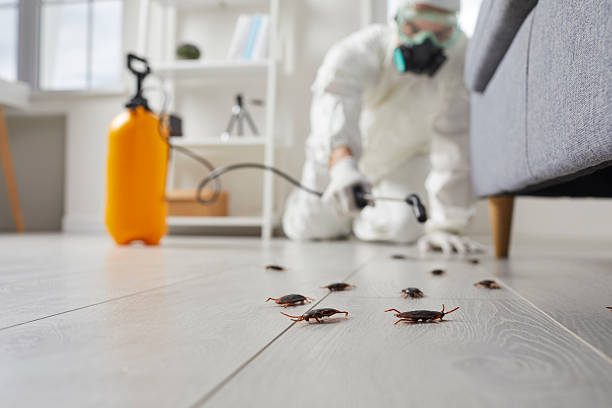 Trusted Fumigation Services service in Spring Grove, IL - Nex Pest Control