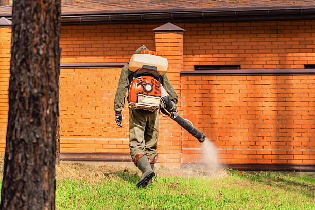 Trusted Mosquito Control service in Spring Grove, IL - Nex Pest Control